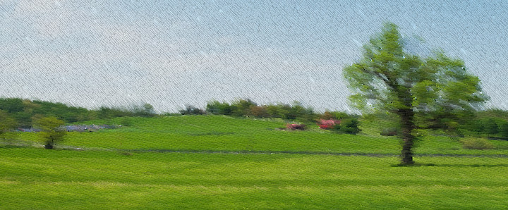 110430_MAS8599-gimp