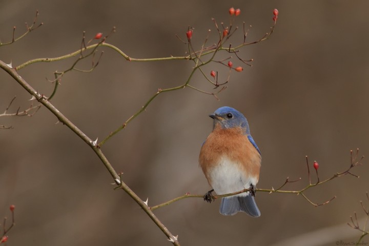 150130_MAS4848