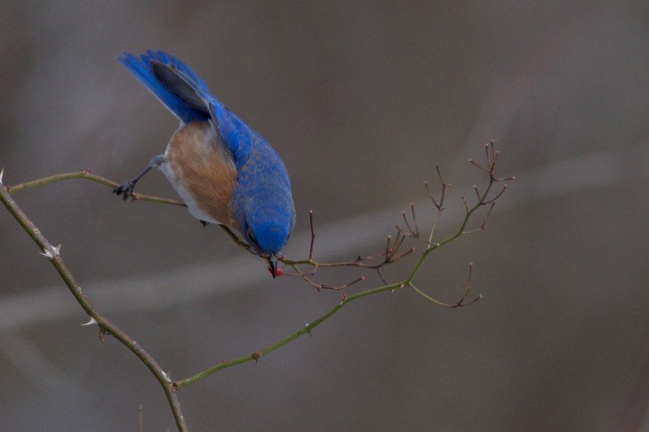 150130_MAS4850