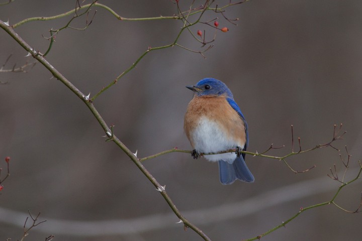 150130_MAS4854