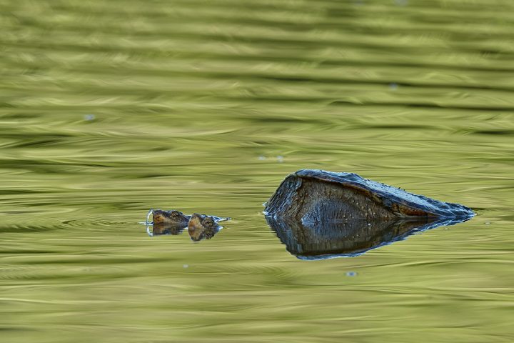 160923_MAS1D4_68F4994