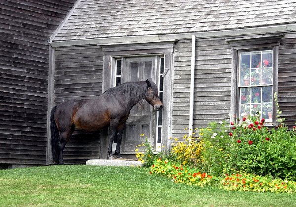 Mom's Winning Baltimore Sunshots